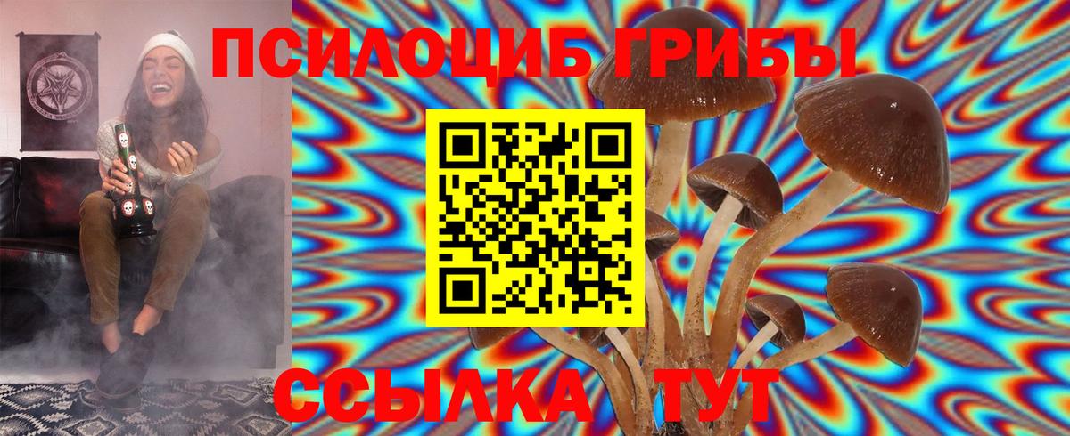 Галлюциногенные грибы Magic Shrooms  как найти закладки  Великие Луки  Вход с VPN 